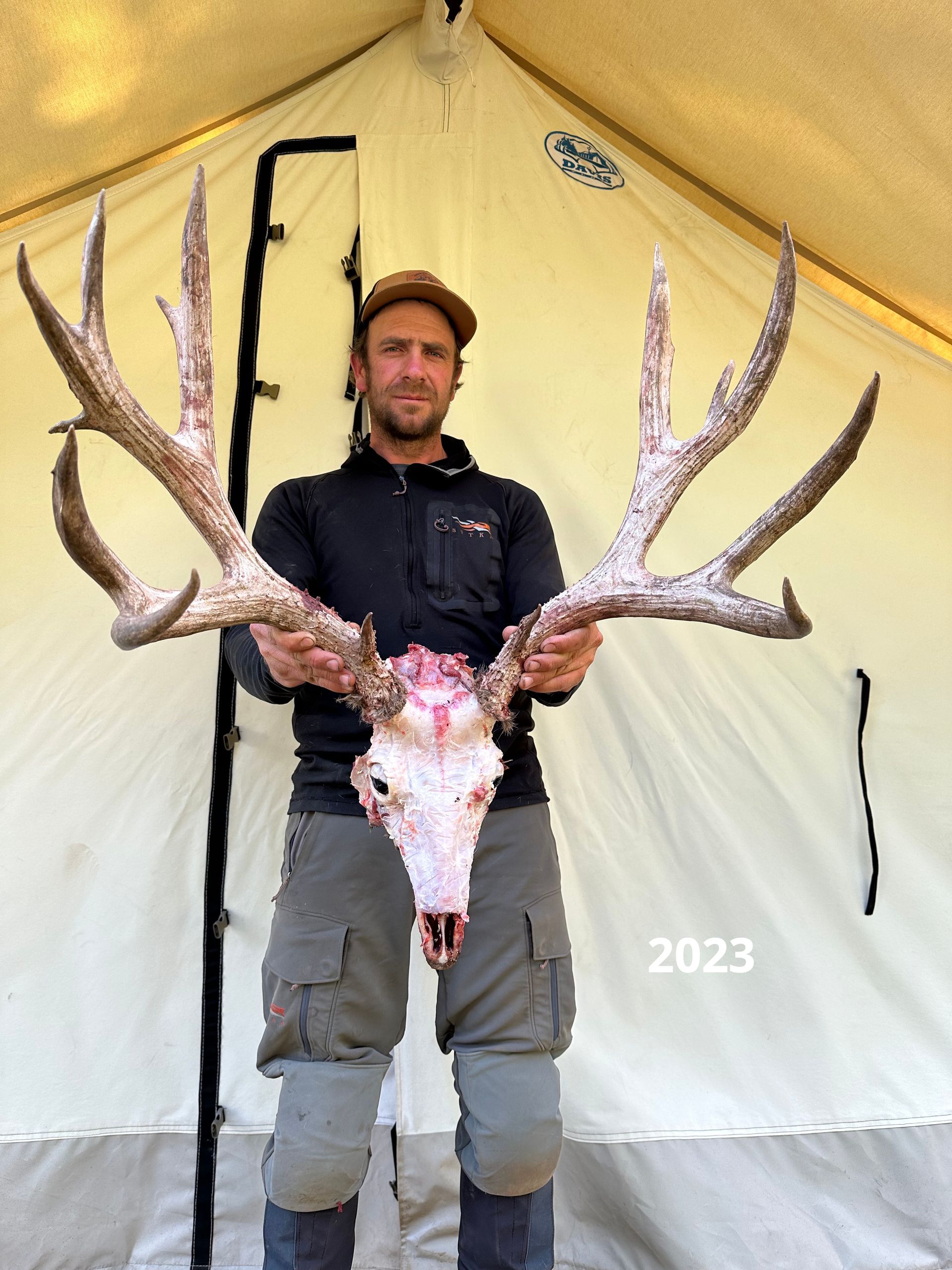 Limited entry wyoming mule deer 