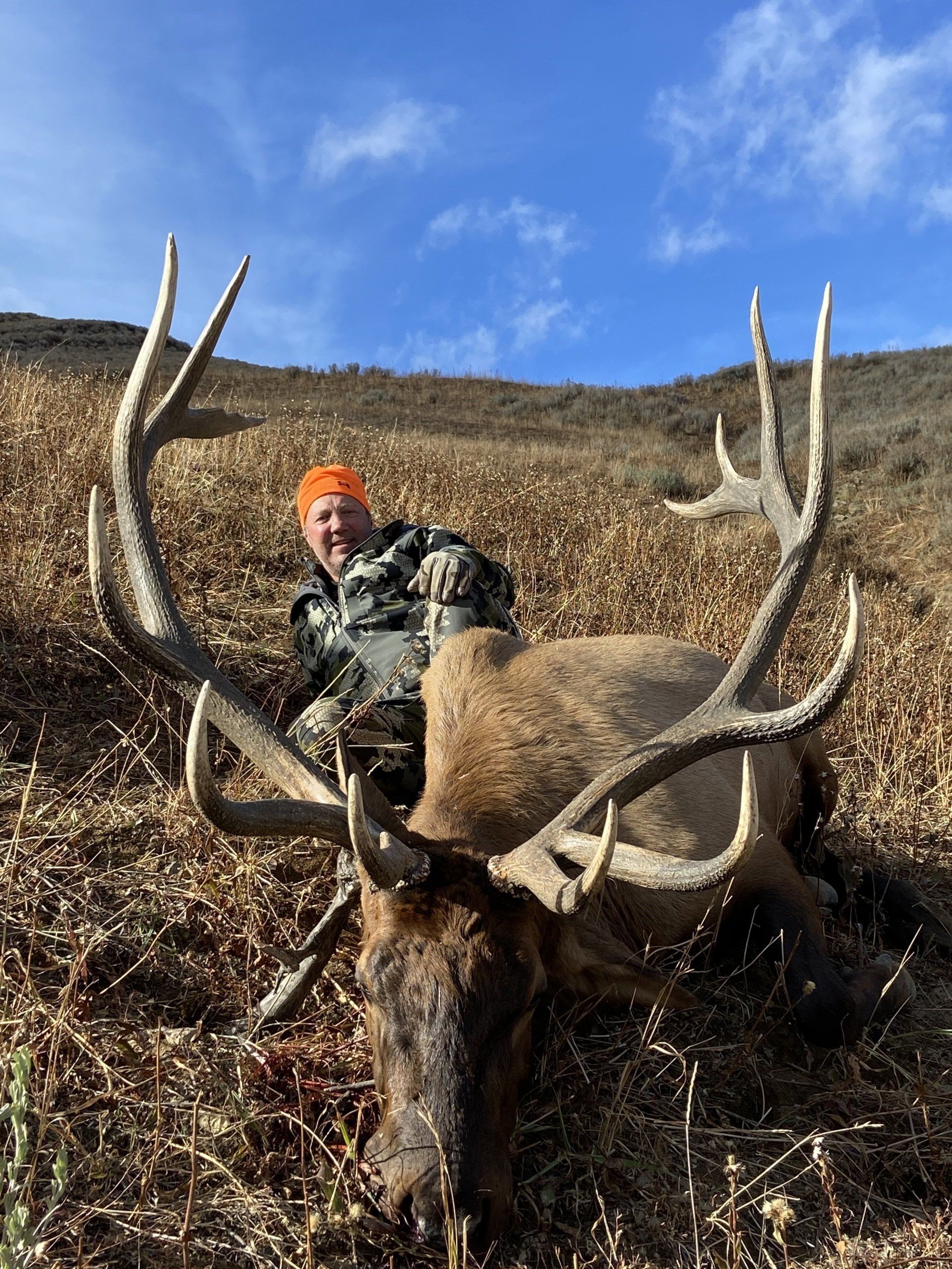 Western Wyoming Elk