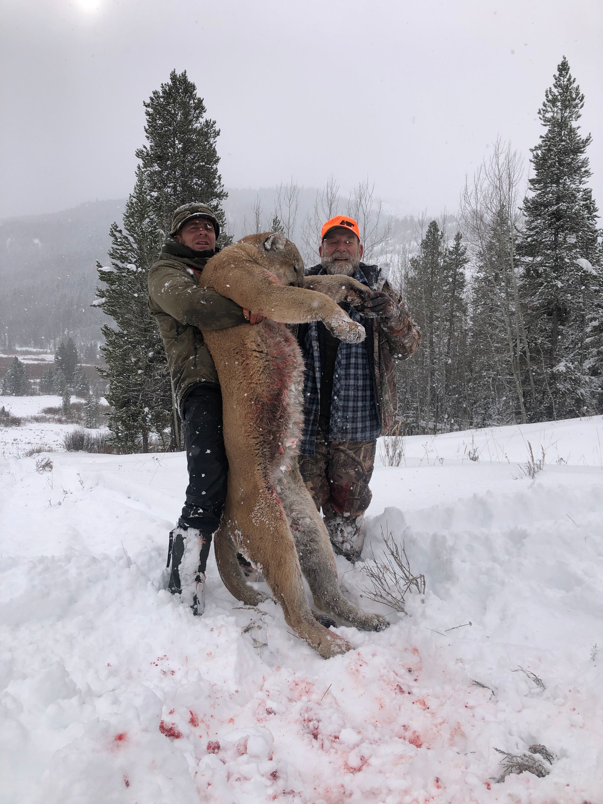Wyoming Lion Hunt