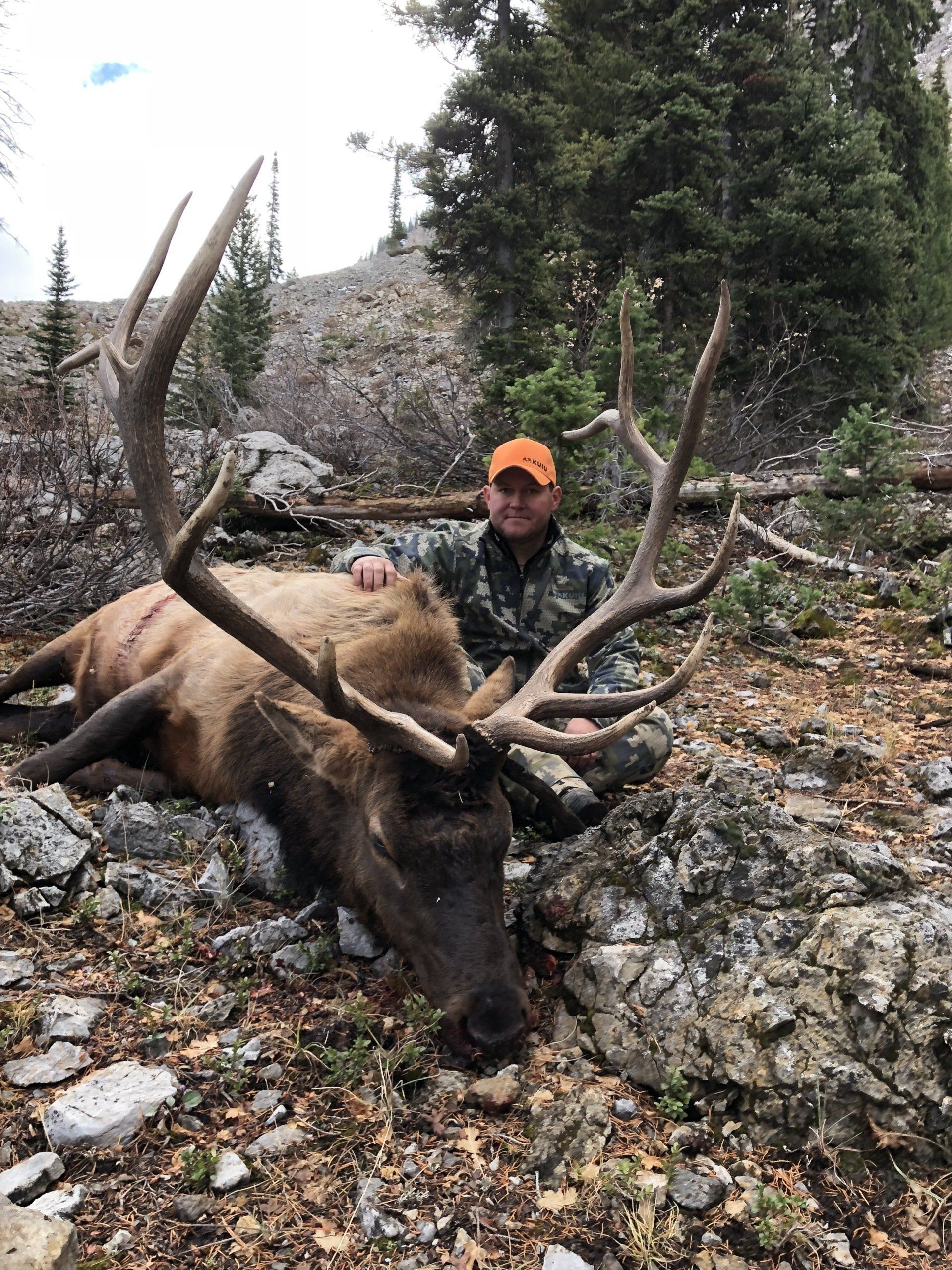 Guided Wyoming elk hunt