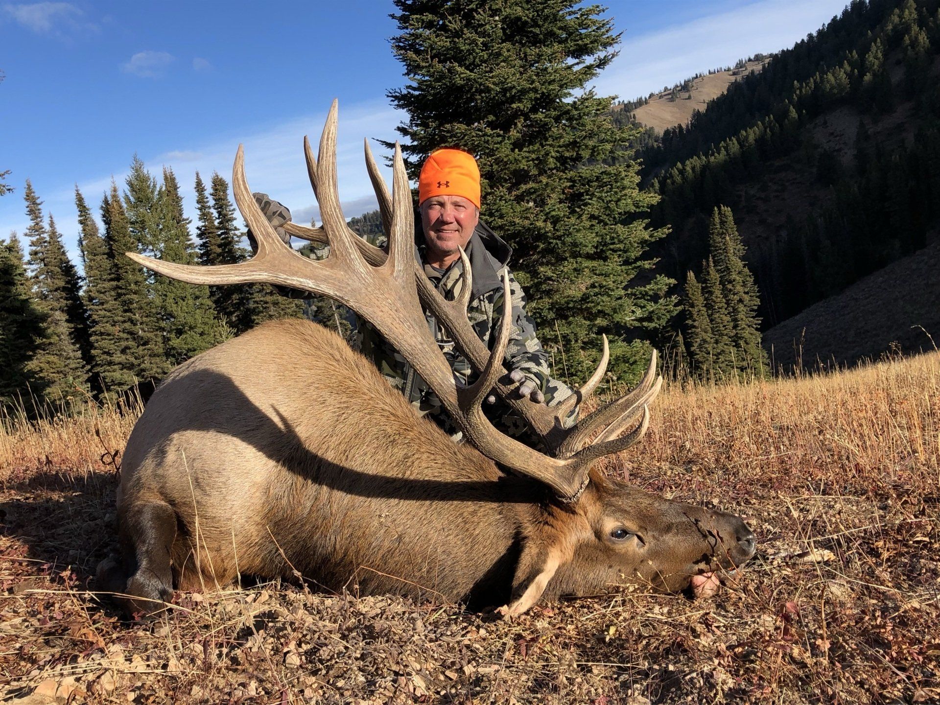 Western Wyoming Elk outfitter