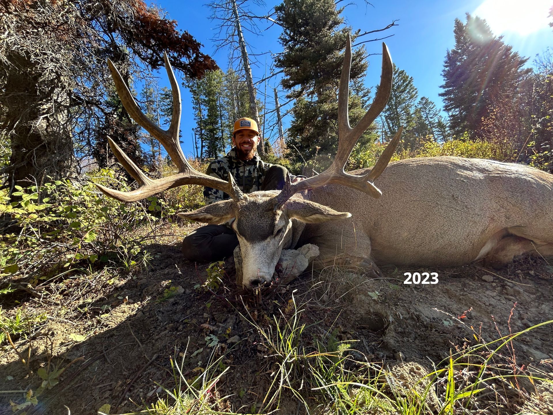 Region G Wyoming Mule Deer