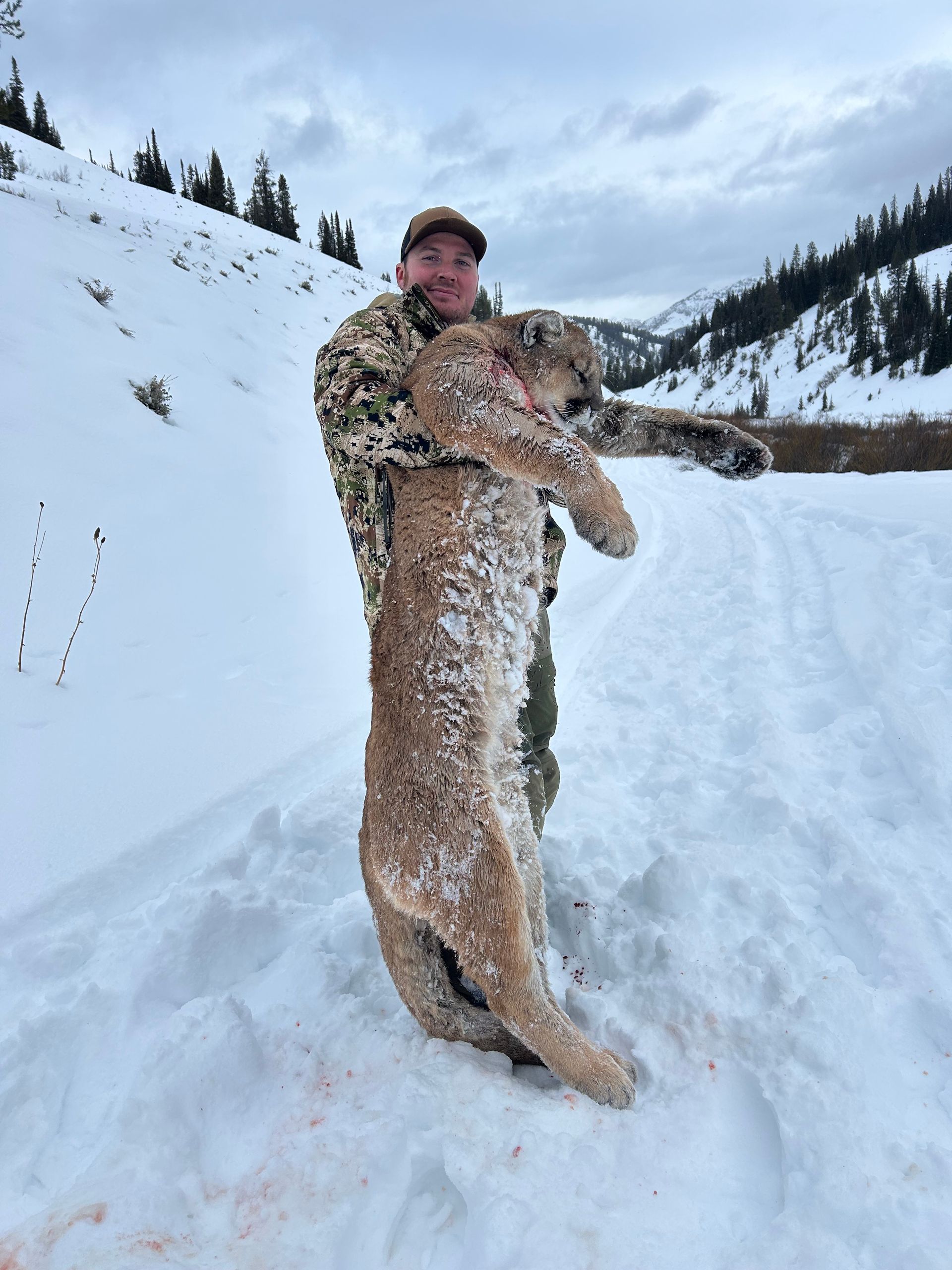 Wyoming Lion Hunt