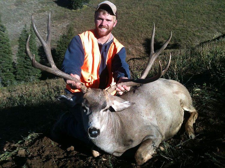 jackson hole wyoming mule deer outfitters