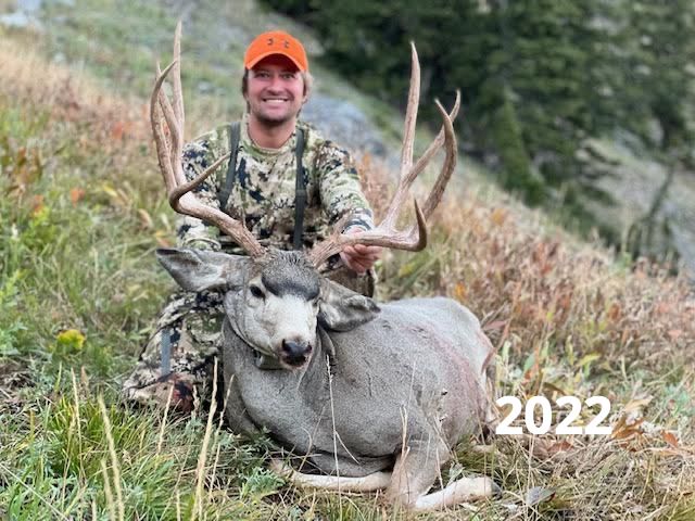 Region G Wyoming Mule Deer