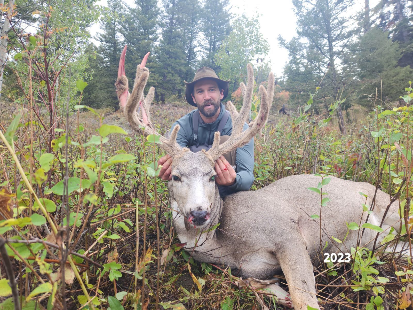 Wyoming mule deer hunt