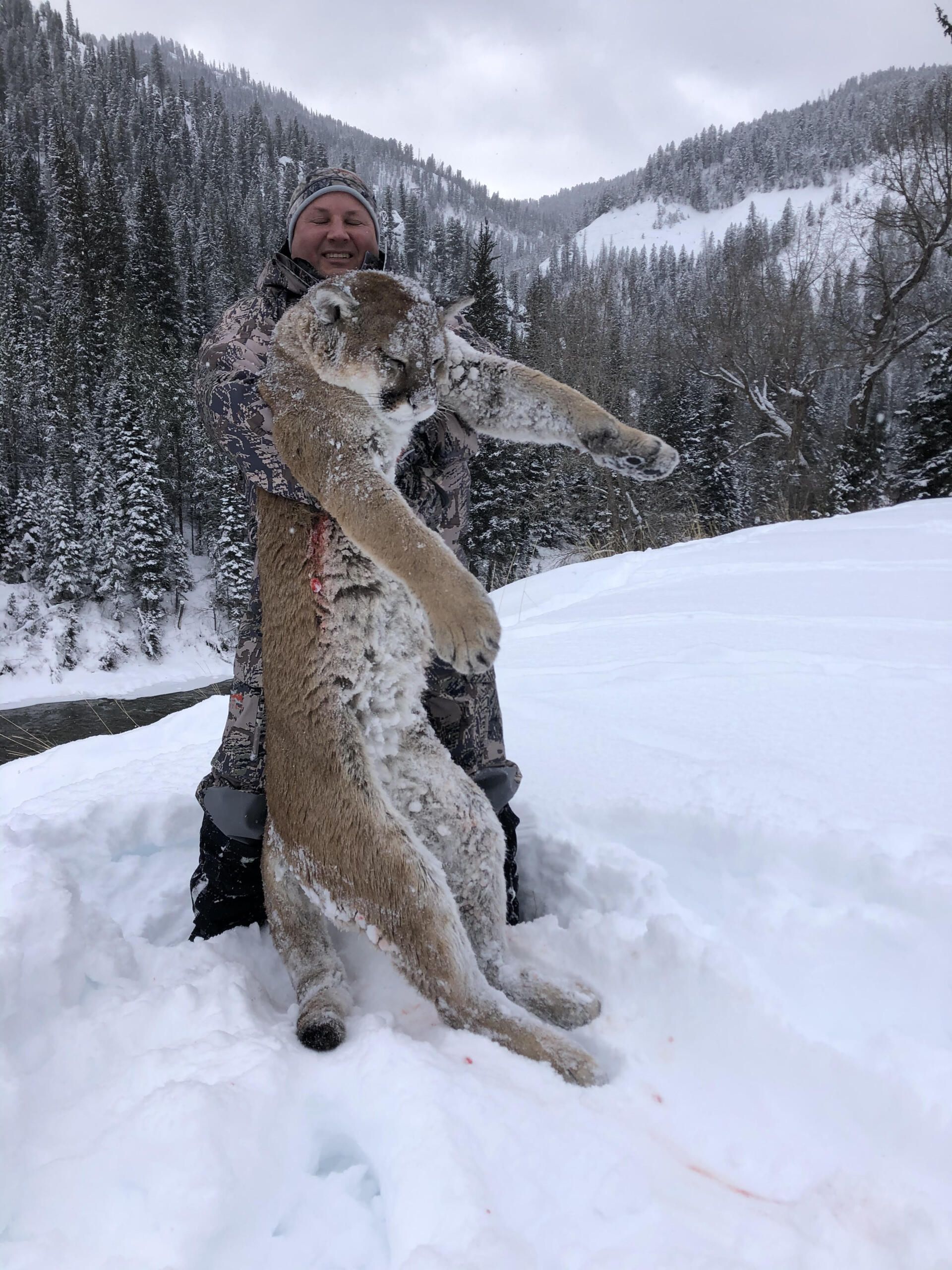 Wyoming Guided Mountain Lion Hunt