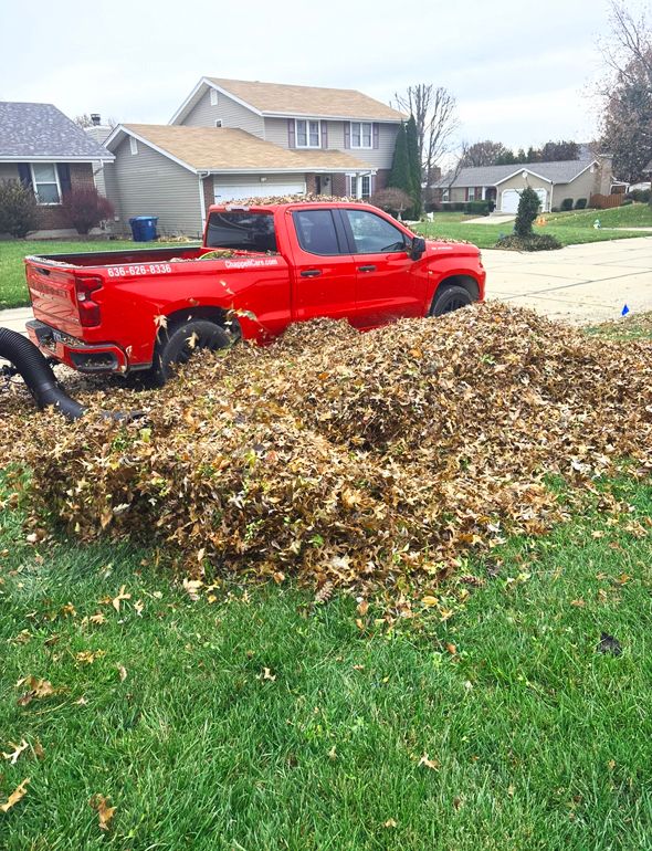 Red pickup truck being loaded with a large pile of brown leaves on a grassy lawn in front of houses.
