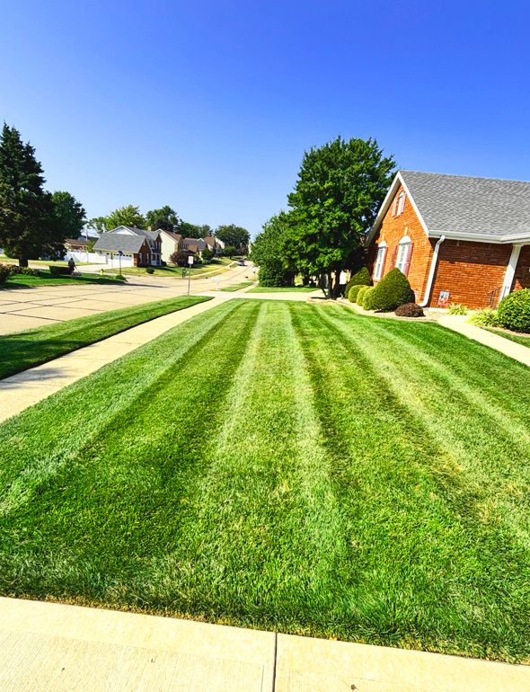 Lawn with green stripes, next to a sidewalk and street in a residential area, blue sky.