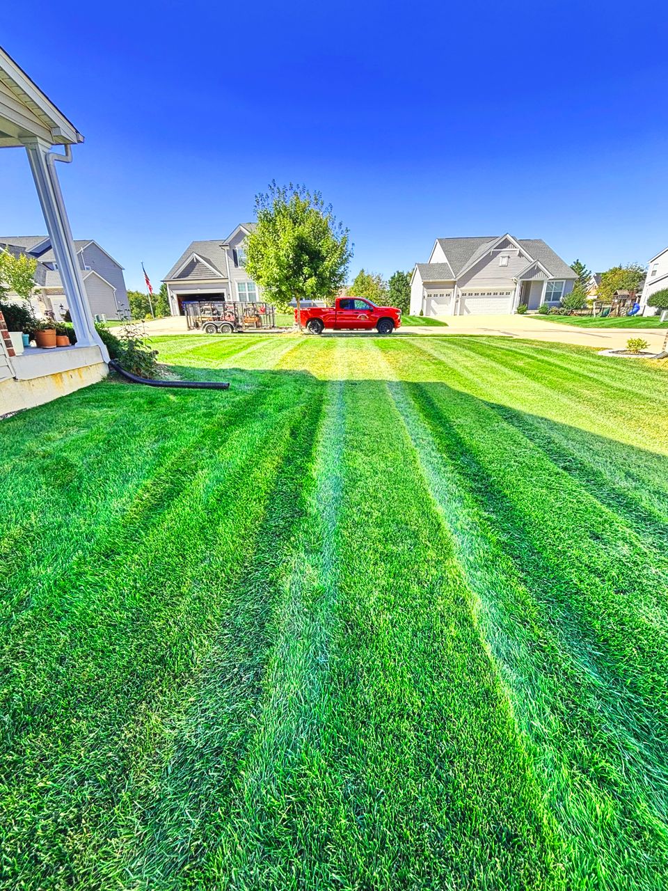 Green, freshly mowed lawn with a red pickup truck parked in the distance under a blue sky in a neighborhood setting.