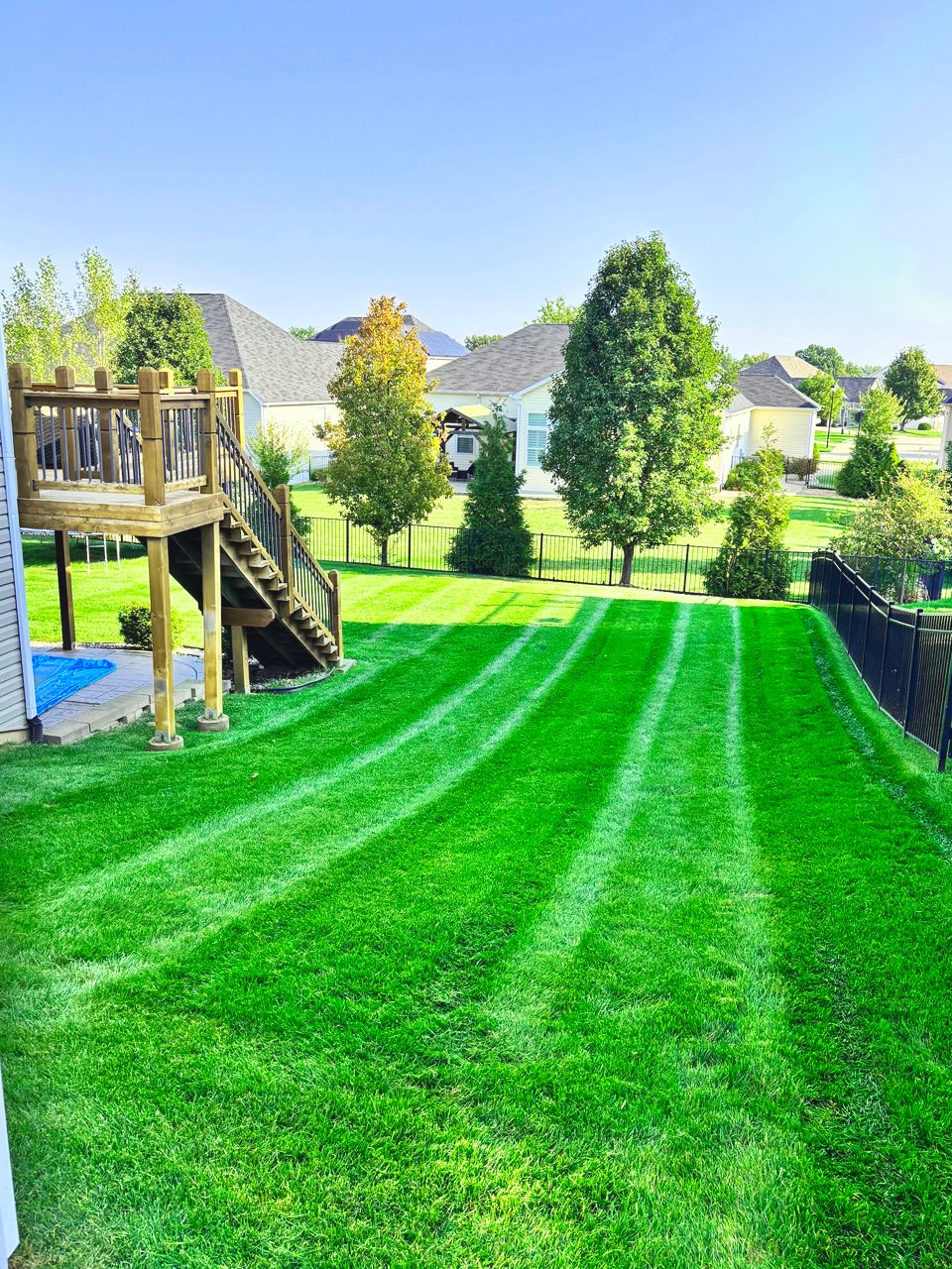Green lawn with fresh mowing stripes, trees, deck, and houses in the background.