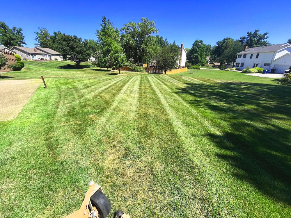 Green lawn freshly mowed with striped patterns. Houses and trees in the background under a blue sky.