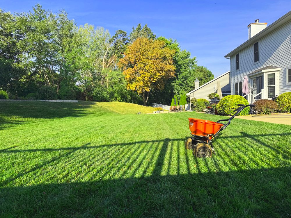 A vibrant green lawn with striped mowing pattern, orange wheelbarrow, and a house under a clear blue sky.