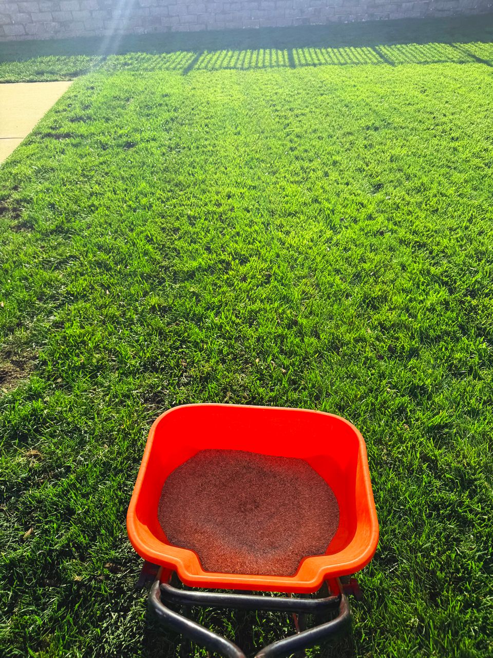 Orange spreader filled with brown granules on a green lawn, sunlight.