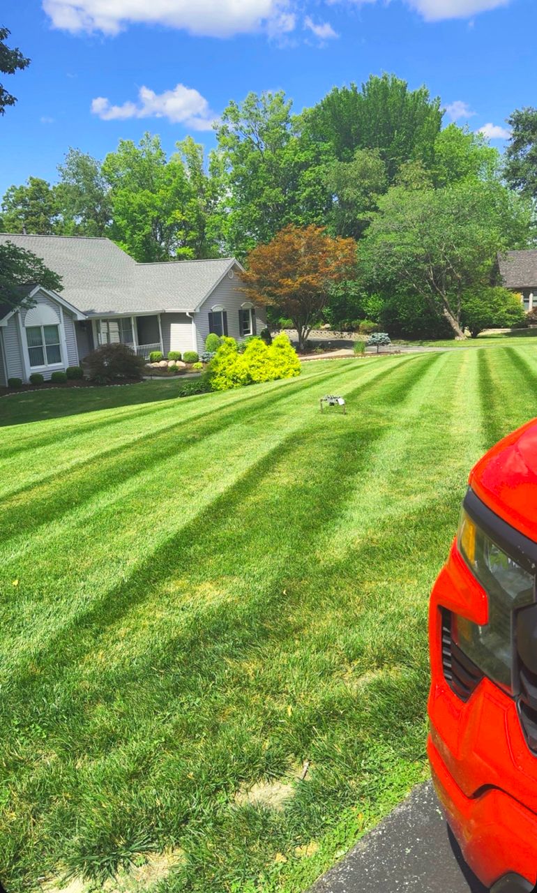 Freshly mowed lawn with green stripes, a house, trees, and red lawnmower in view on a sunny day.