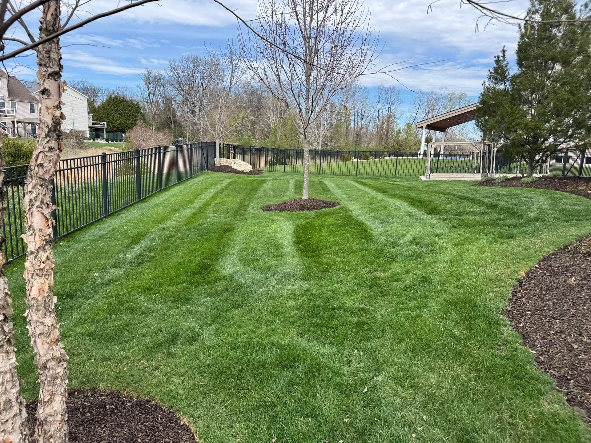 Landscaped grassy park with a tree, black fence, and blue sky