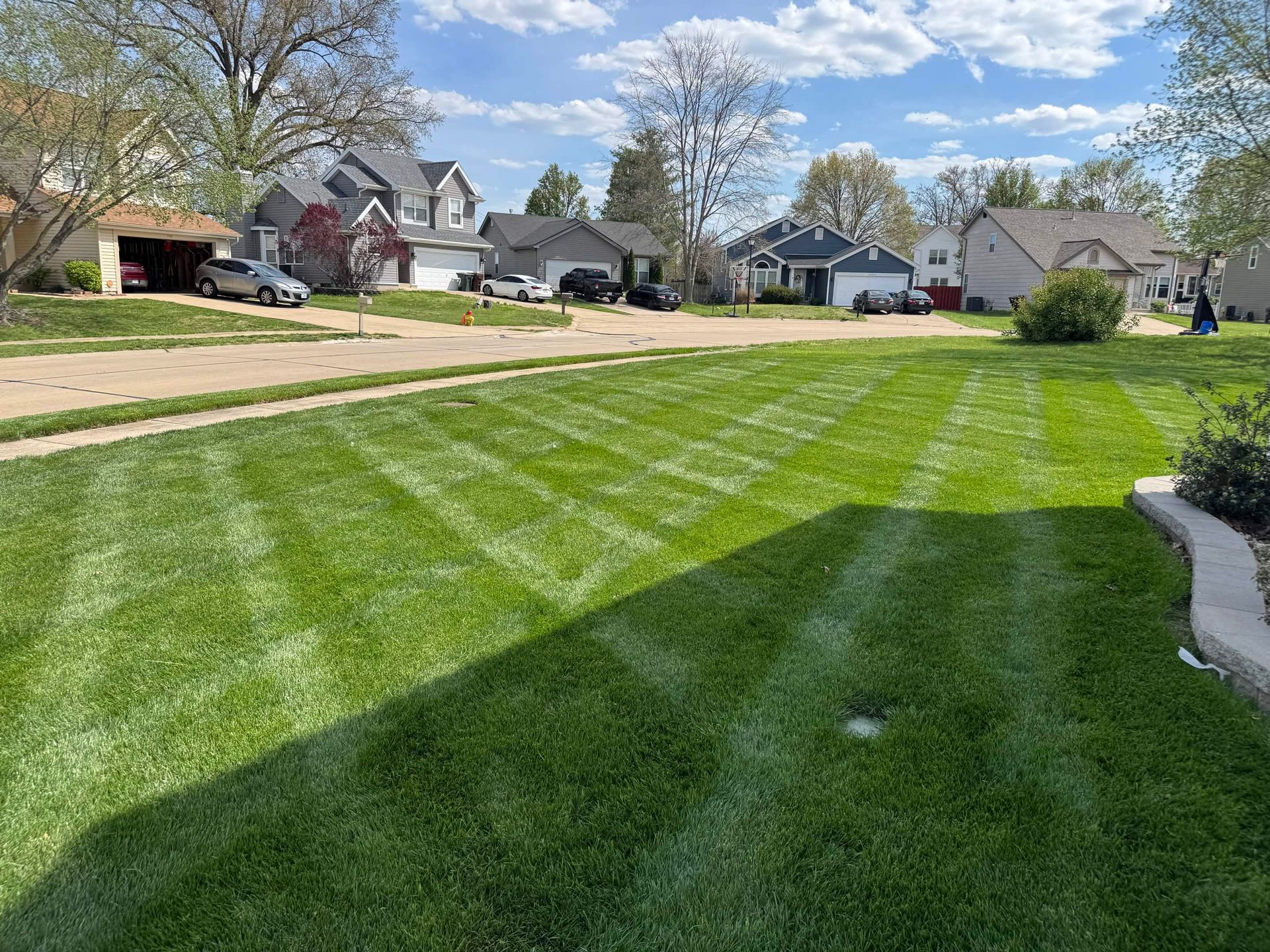 Freshly mowed suburban lawn with diagonal stripes, sidewalk, and houses under a partly cloudy sky