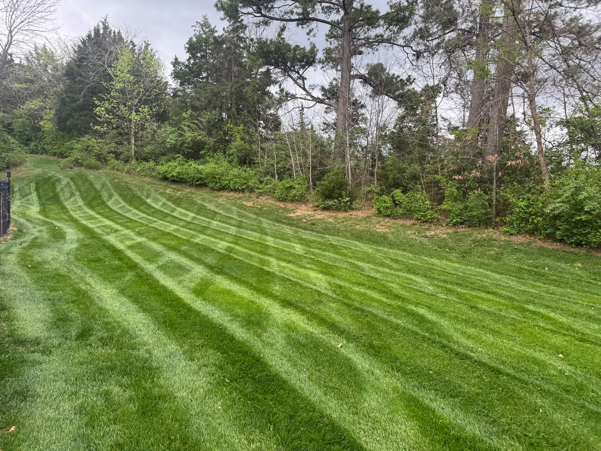 Striped green lawn beside a wooded area under cloudy sky