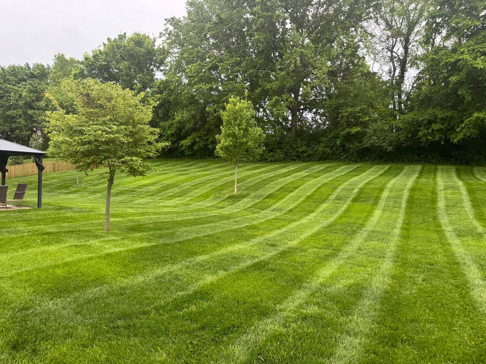 Freshly mowed green lawn with striped patterns, trees along the back, and a small gazebo at left
