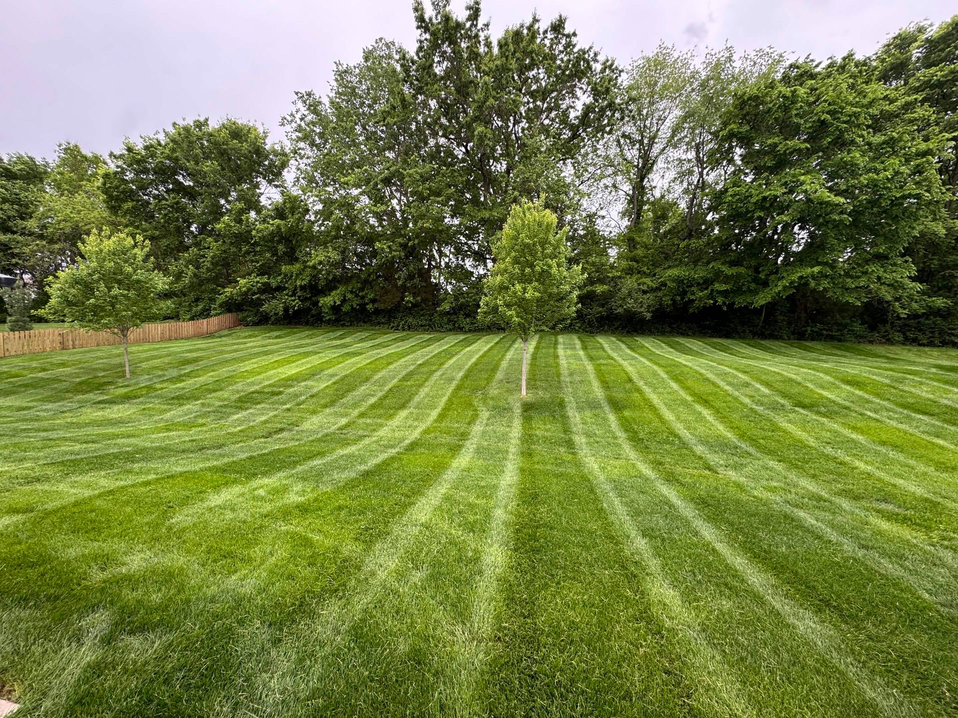 Freshly mowed green lawn with striped patterns and trees along the edge under a cloudy sky