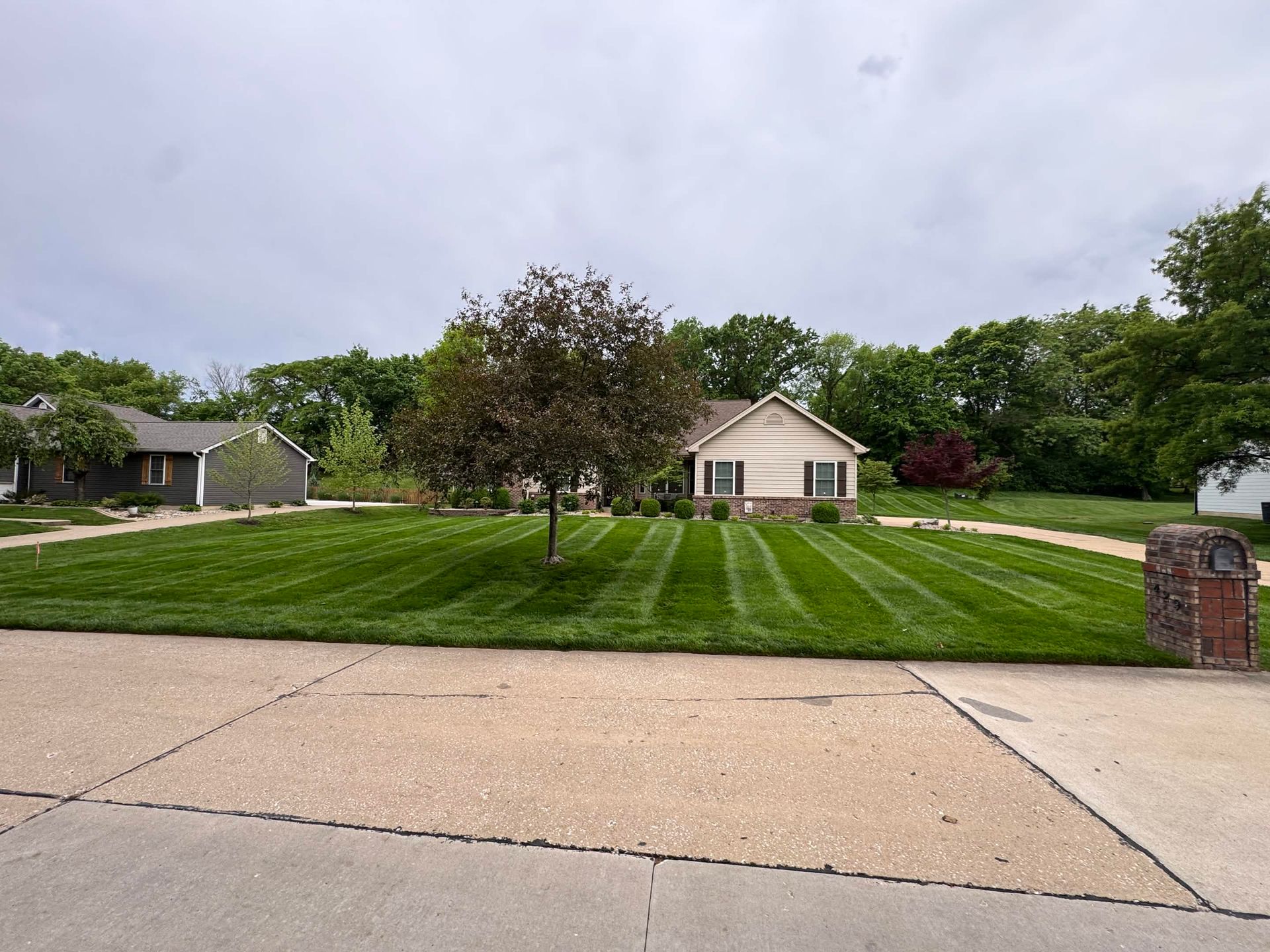 Suburban house with striped lawn, large tree, and brick mailbox under overcast sky