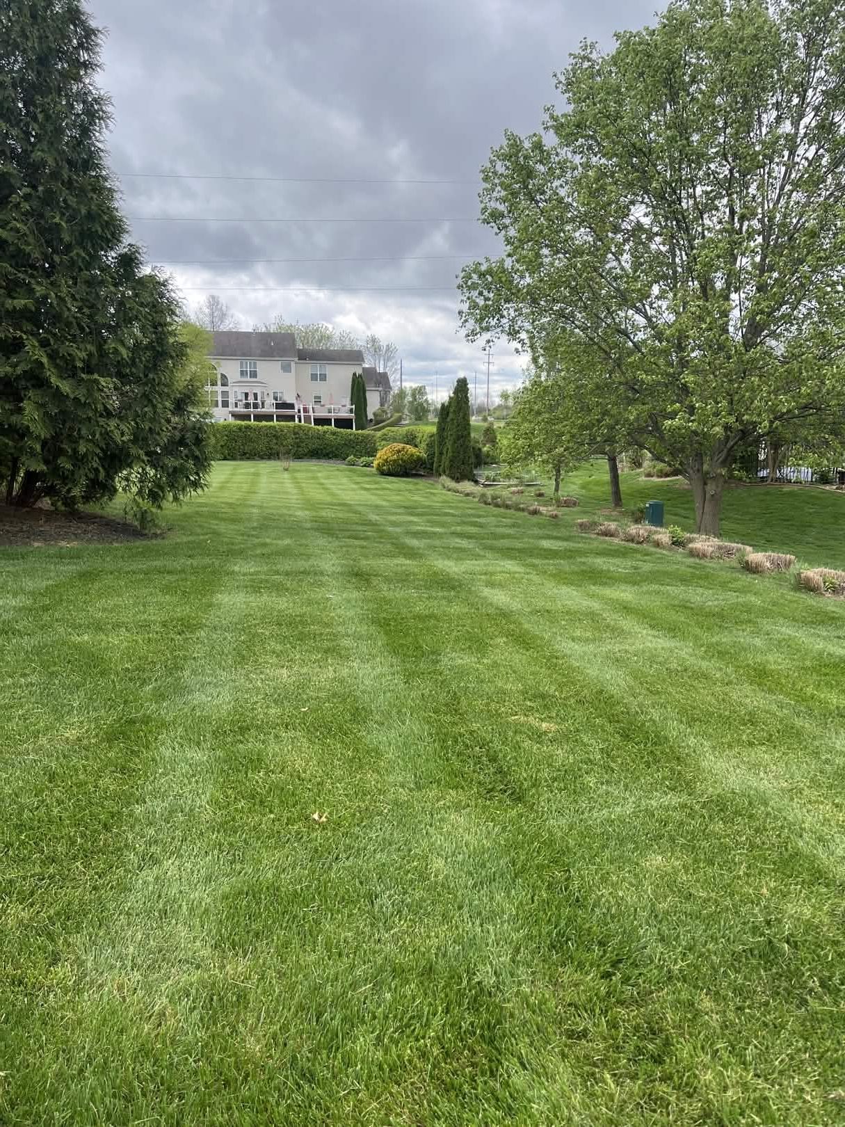 Wide green lawn leading to a large white house under a cloudy sky, bordered by trees and shrubs