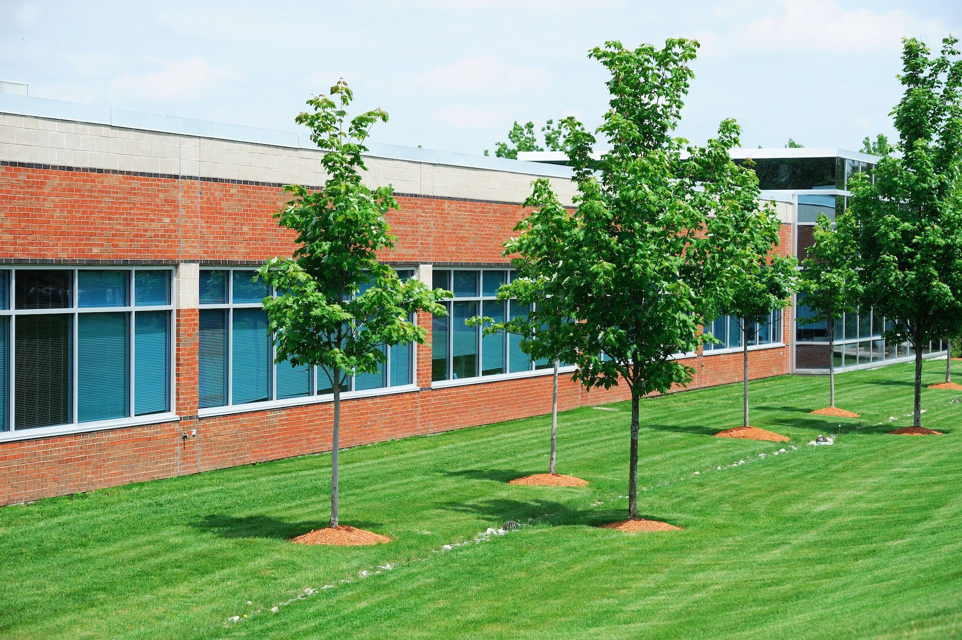 Brick building with large windows, green grass, and several young trees.