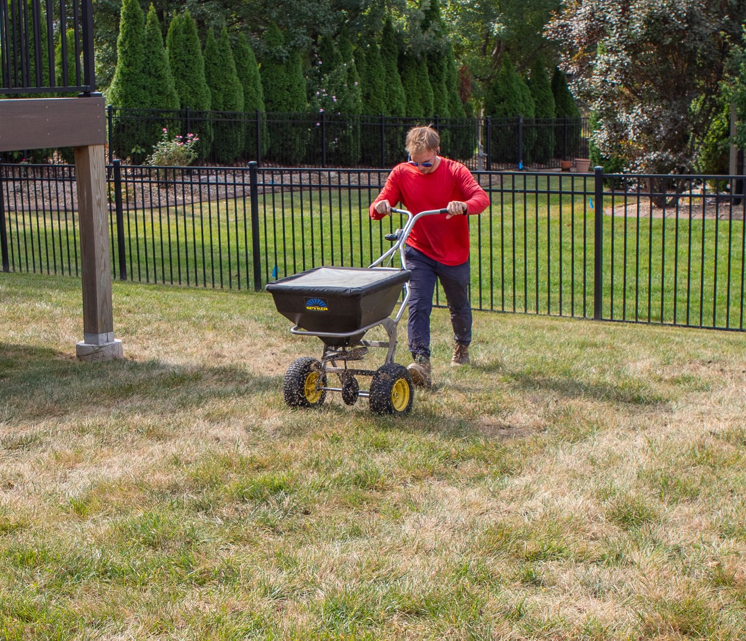 Person in a red shirt operating a spreader on a grassy lawn near a black fence and stairs