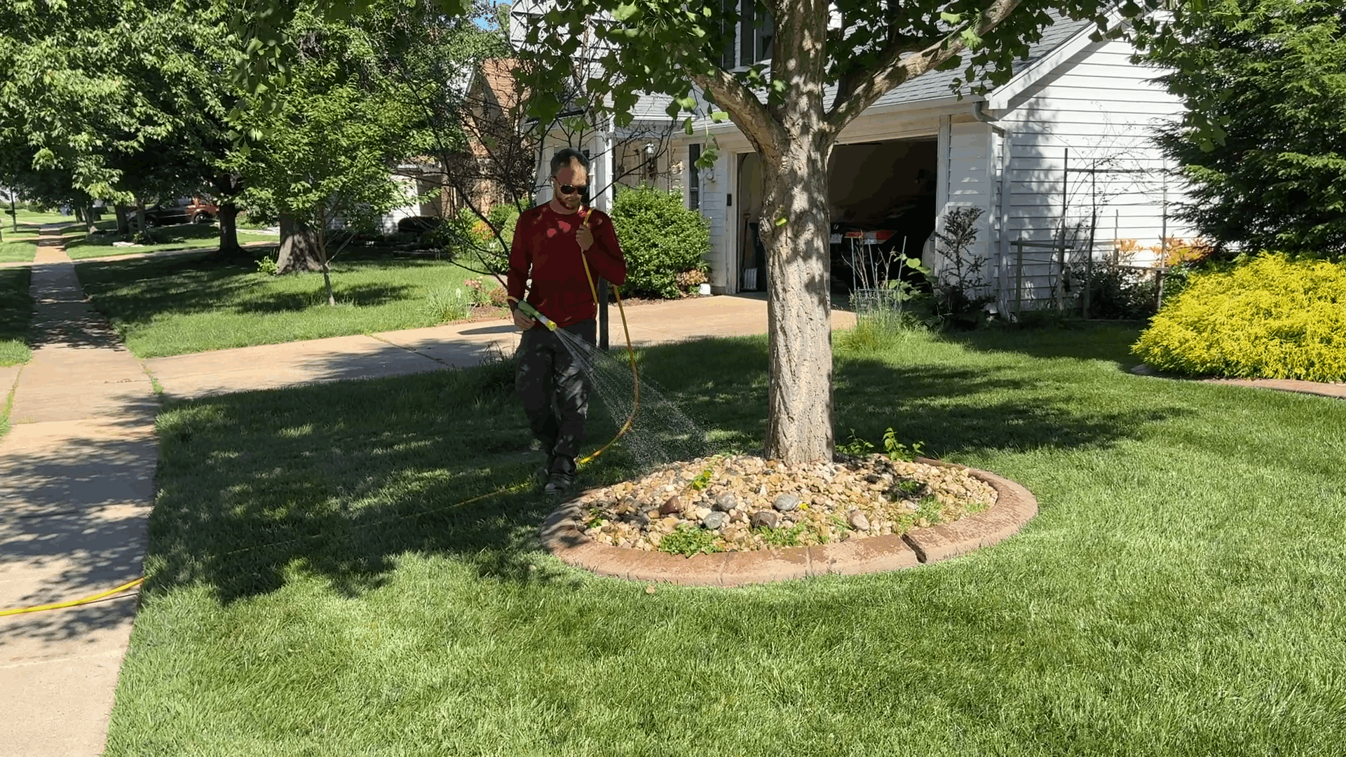 Person in a red shirt walking on a suburban sidewalk beside a lawn and tree in front of a house