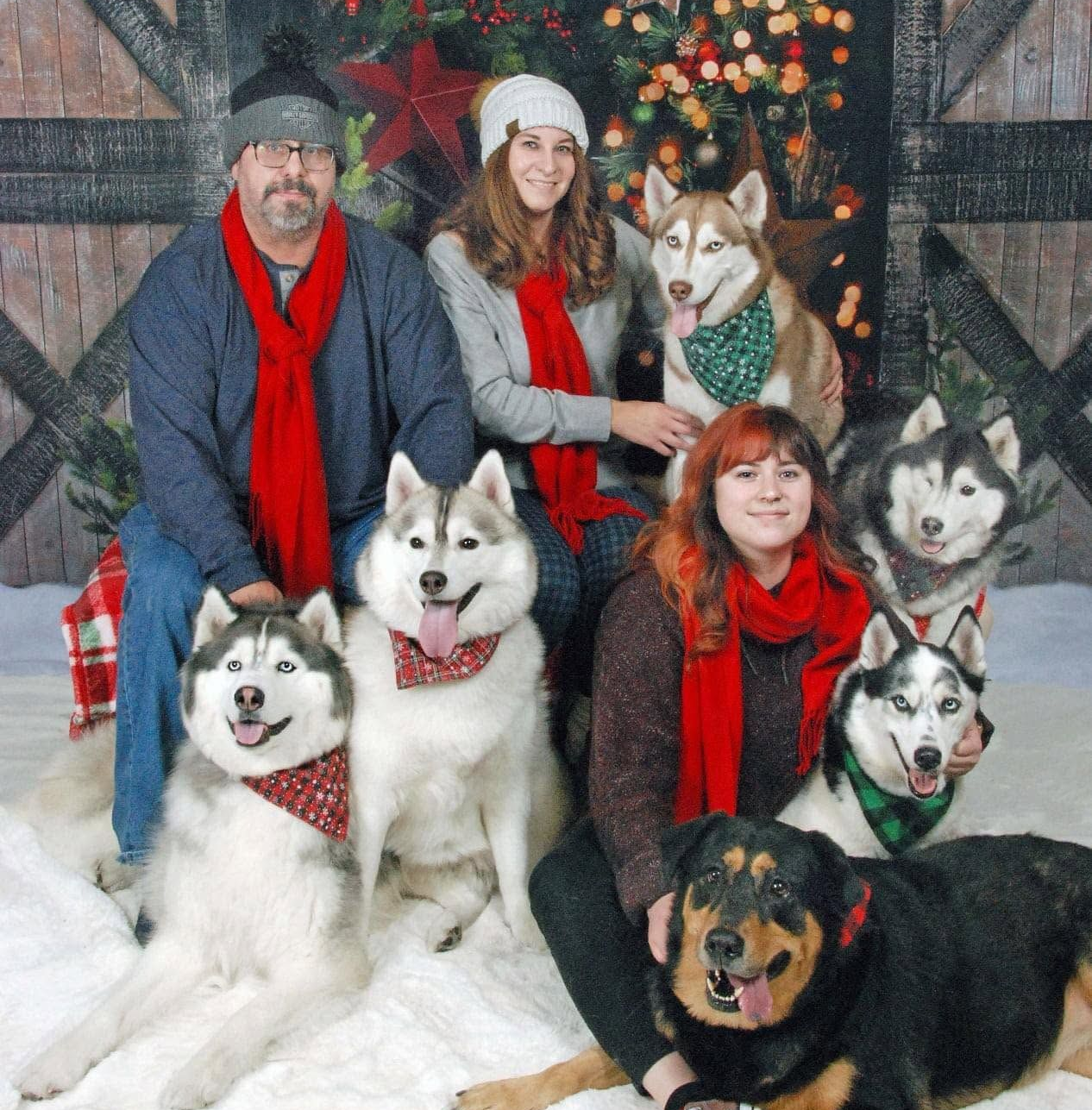 Pet and Family Photography in Arlington, TX