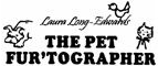 Pet Photographer in Arlington, TX | The Pet Fur'tographer Pet Photographer in Arlington, TX | The Pet Fur'tographer