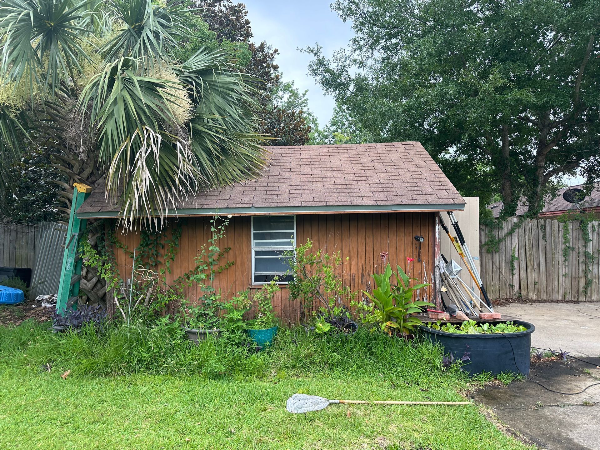 A small wooden shed is sitting in the middle of a lush green yard.