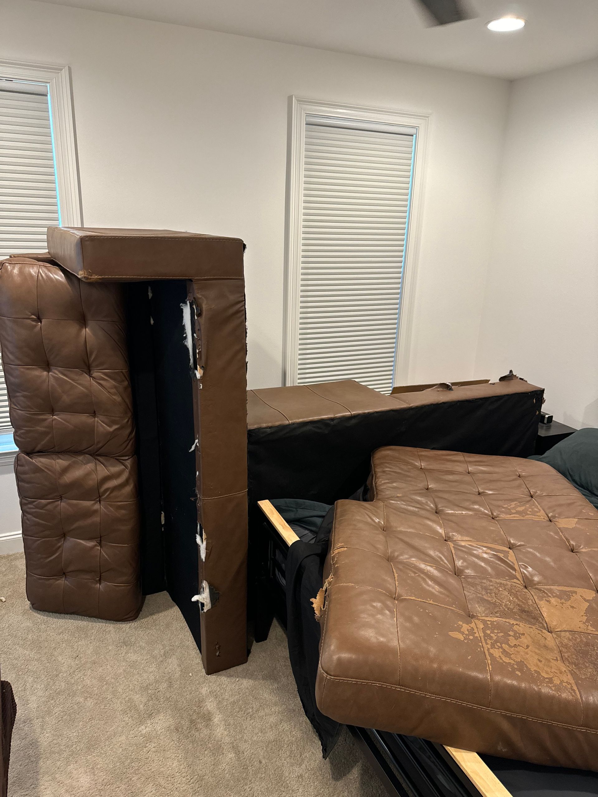 A room with a couch and a futon in it