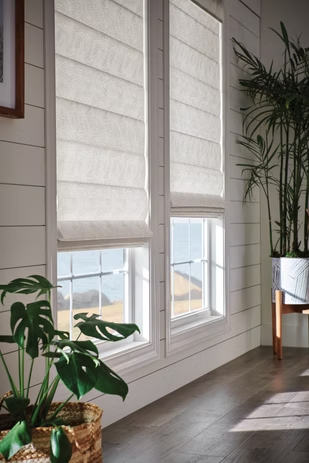 Bright living room with white windows, potted plants, and sunlight on a wooden floor.