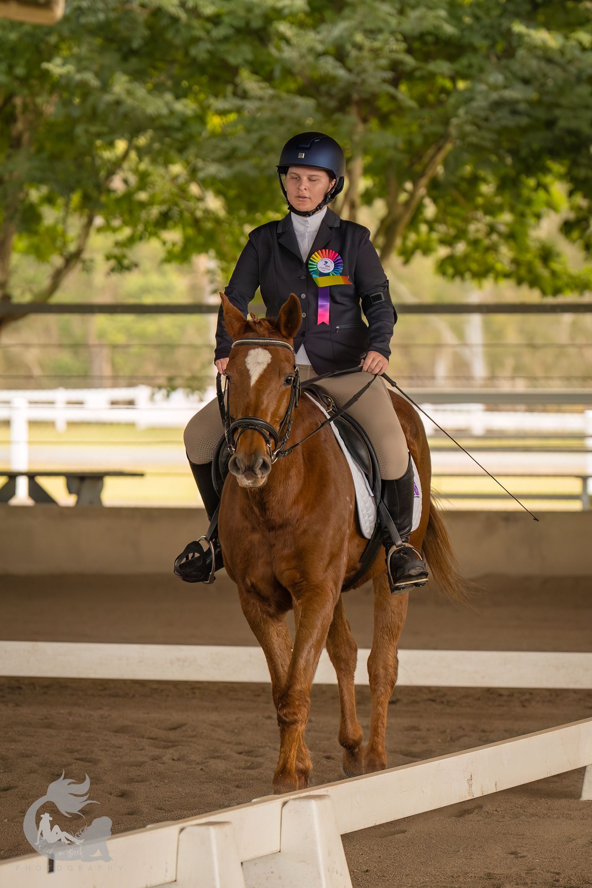 A person on a chestnut horse in a riding arena. The rider wears a helmet and jacket.