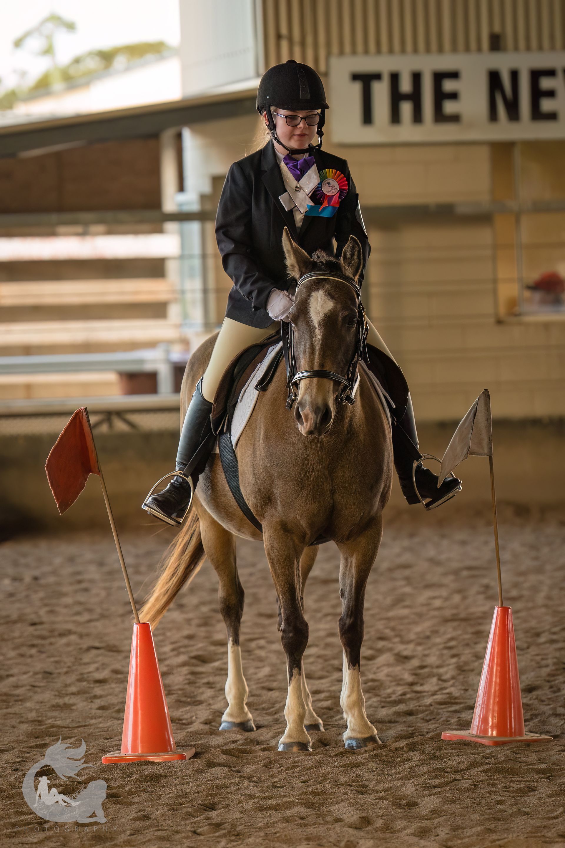Rider on horse in arena, wearing formal attire. Horse is buckskin colored. Orange cones and flags mark the course.