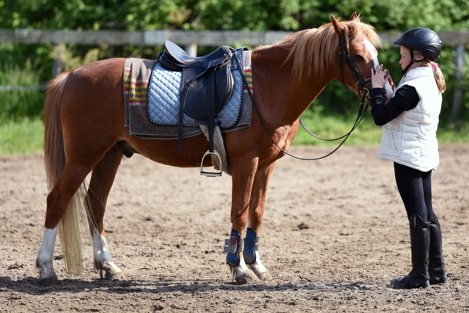 A pony with saddle stands next to a person in riding gear, petting its face on a dirt track.