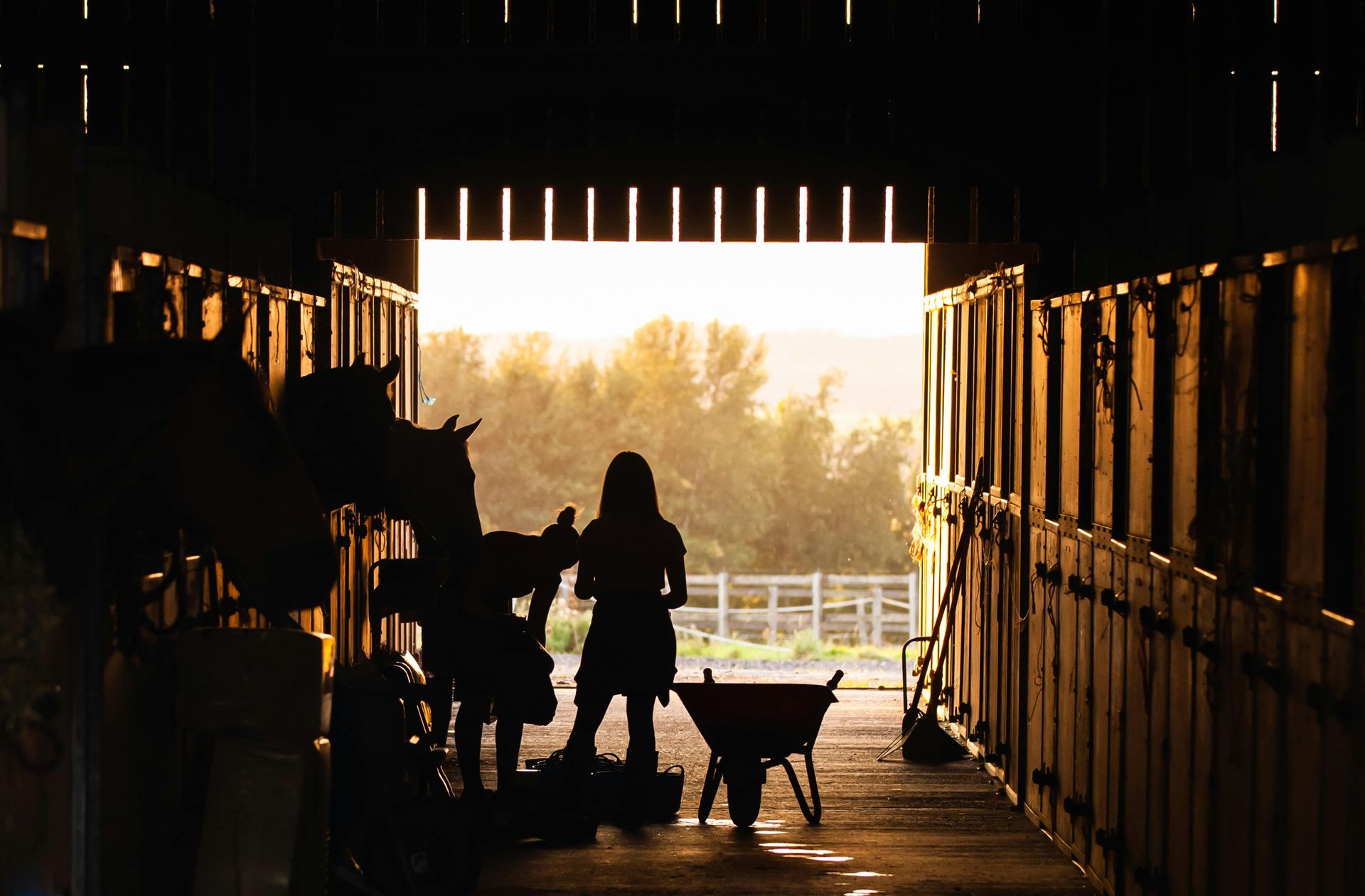 Silhouette of a person in a barn doorway with horses; sunset through the opening.