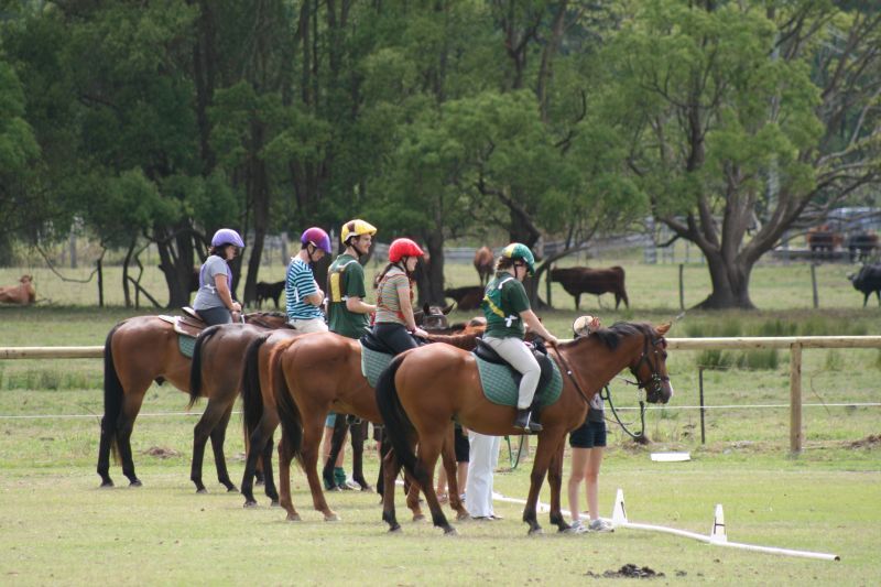White Rocks Western Riding Rda Riding for Disabled on the Southern Gold Coast | RDAQ