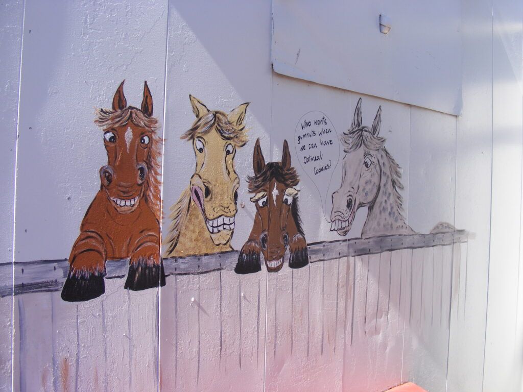 Four cartoon horse heads peering over a fence. Brown, tan, and gray horses with humorous expressions.