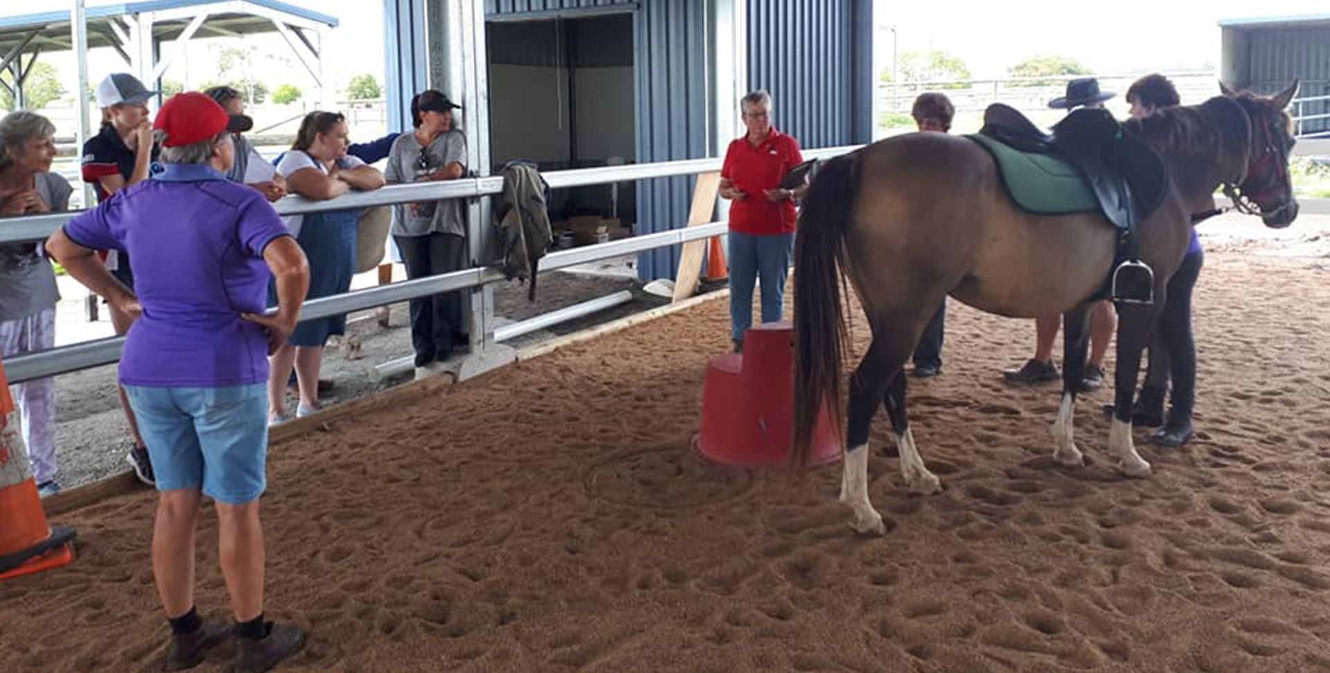 People watching a saddled horse in an arena. One person in a red shirt stands near.