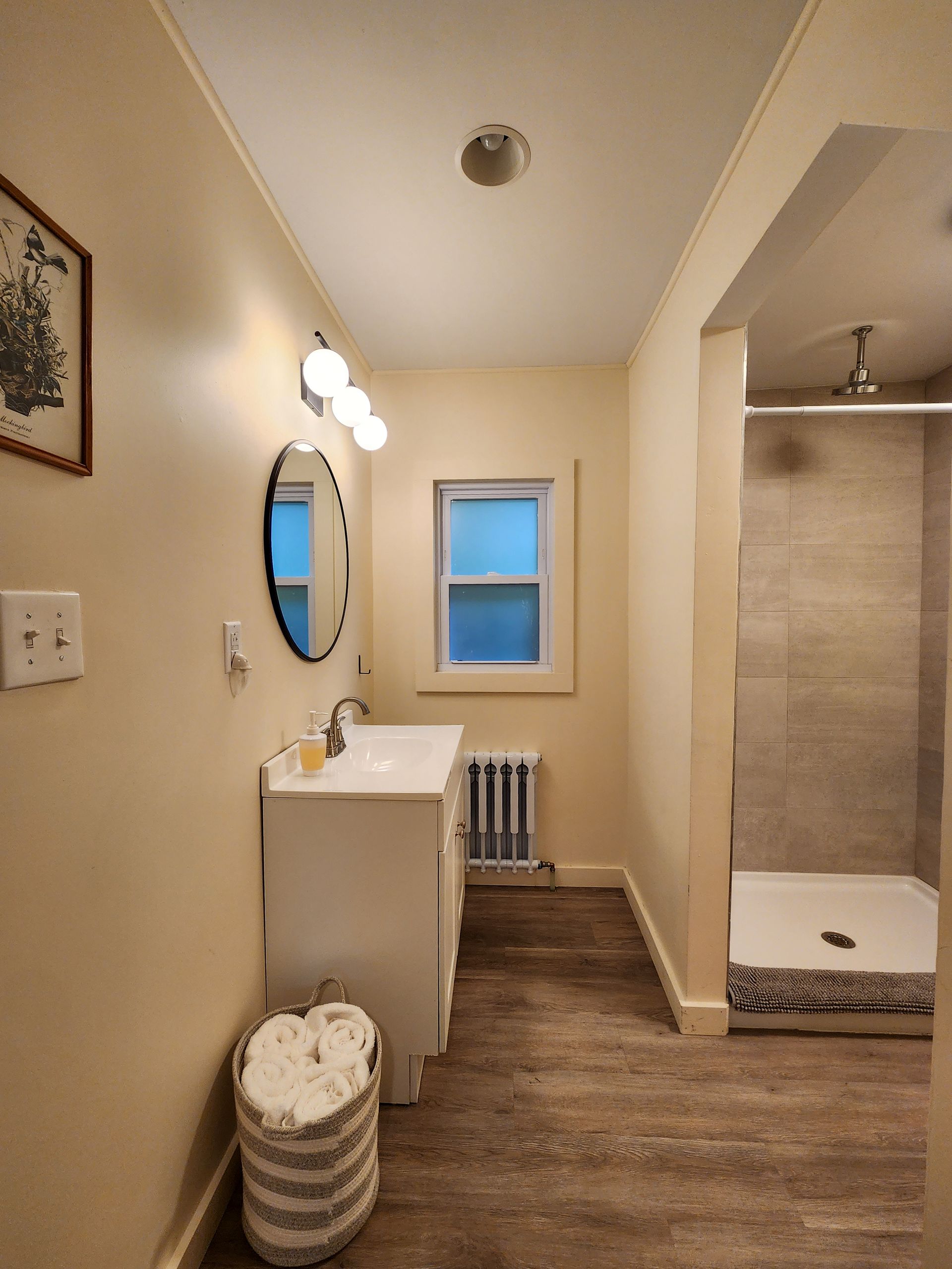Bathroom of Cabin #9 at Belleayre Lodge, showing mirror, sink, and walk-in shower.