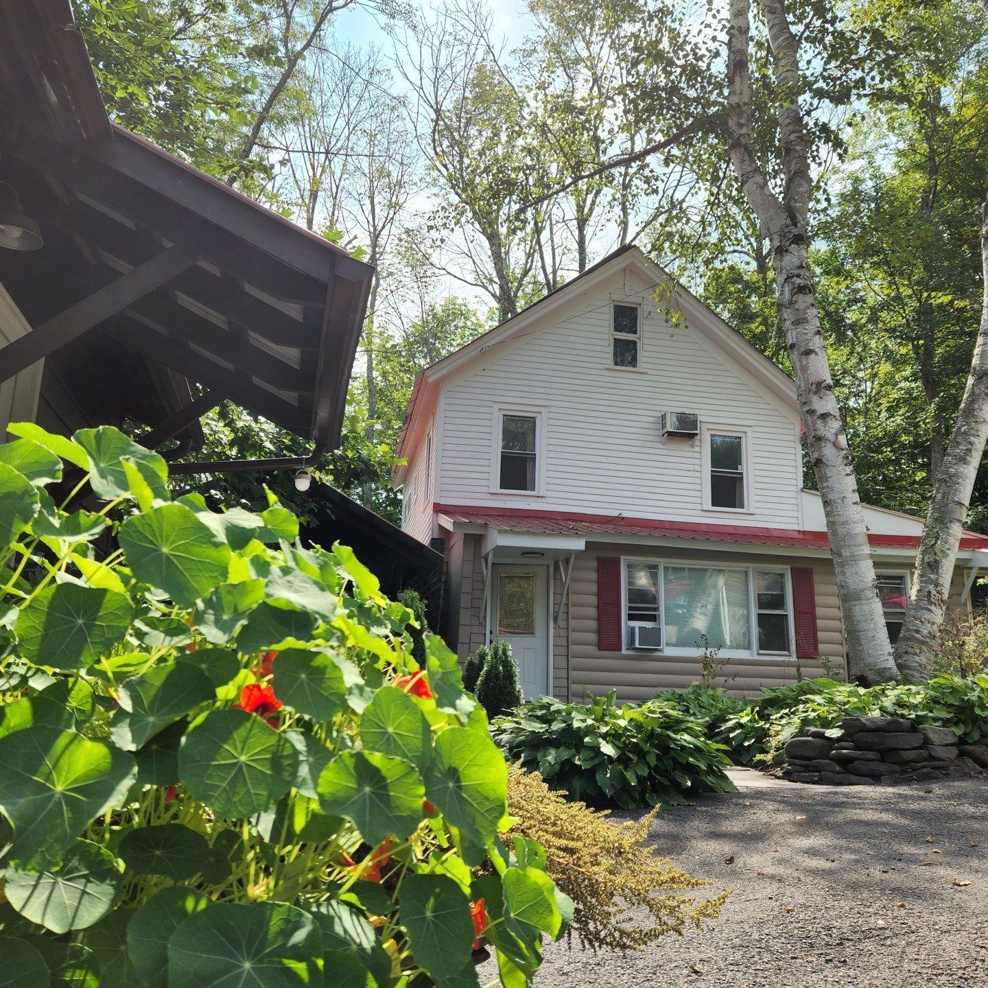 Exterior of Cabin #227 at Belleayre Lodge, through foliage.
