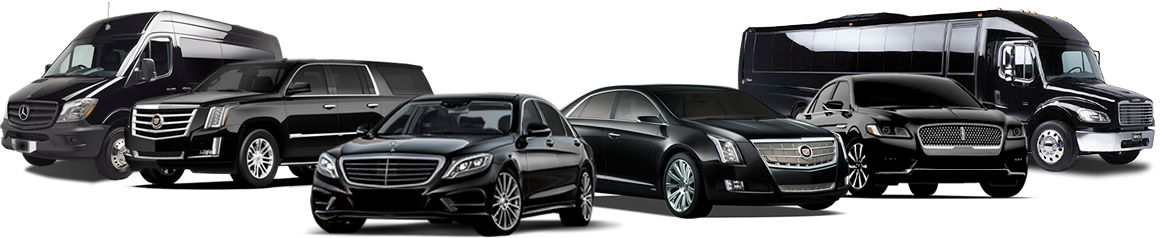 A group of black cars and trucks are lined up in a row on a white background.
