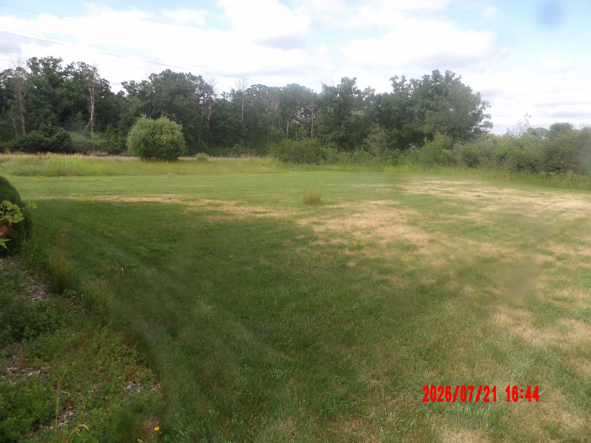 Grassy open field with trees along the edge under a partly cloudy sky