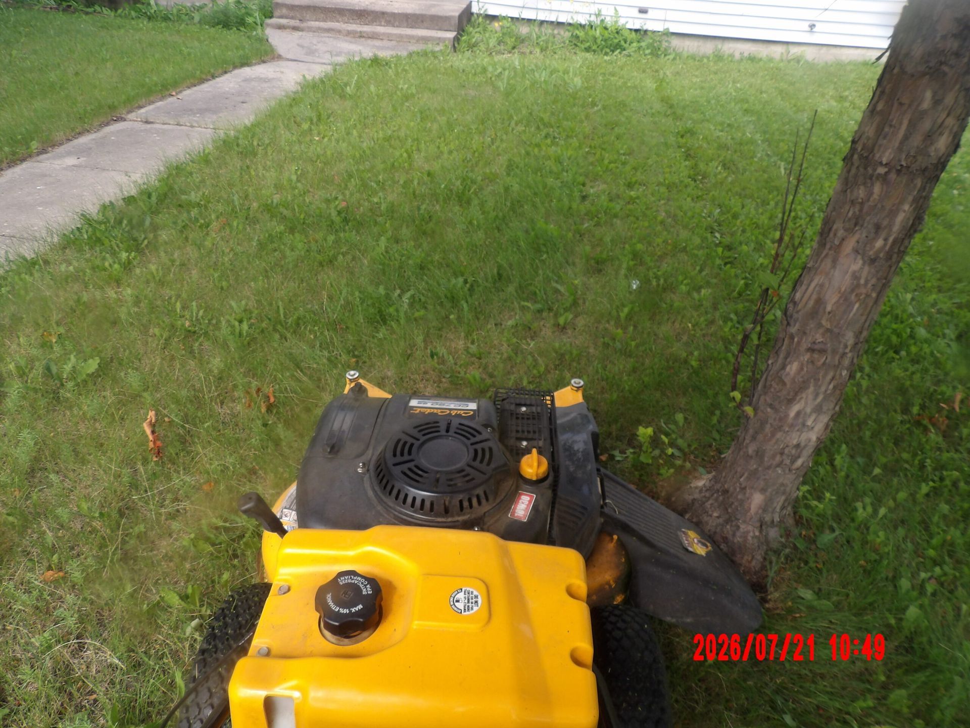 Yellow lawn mower beside a tree on a grassy yard near a sidewalk and house steps