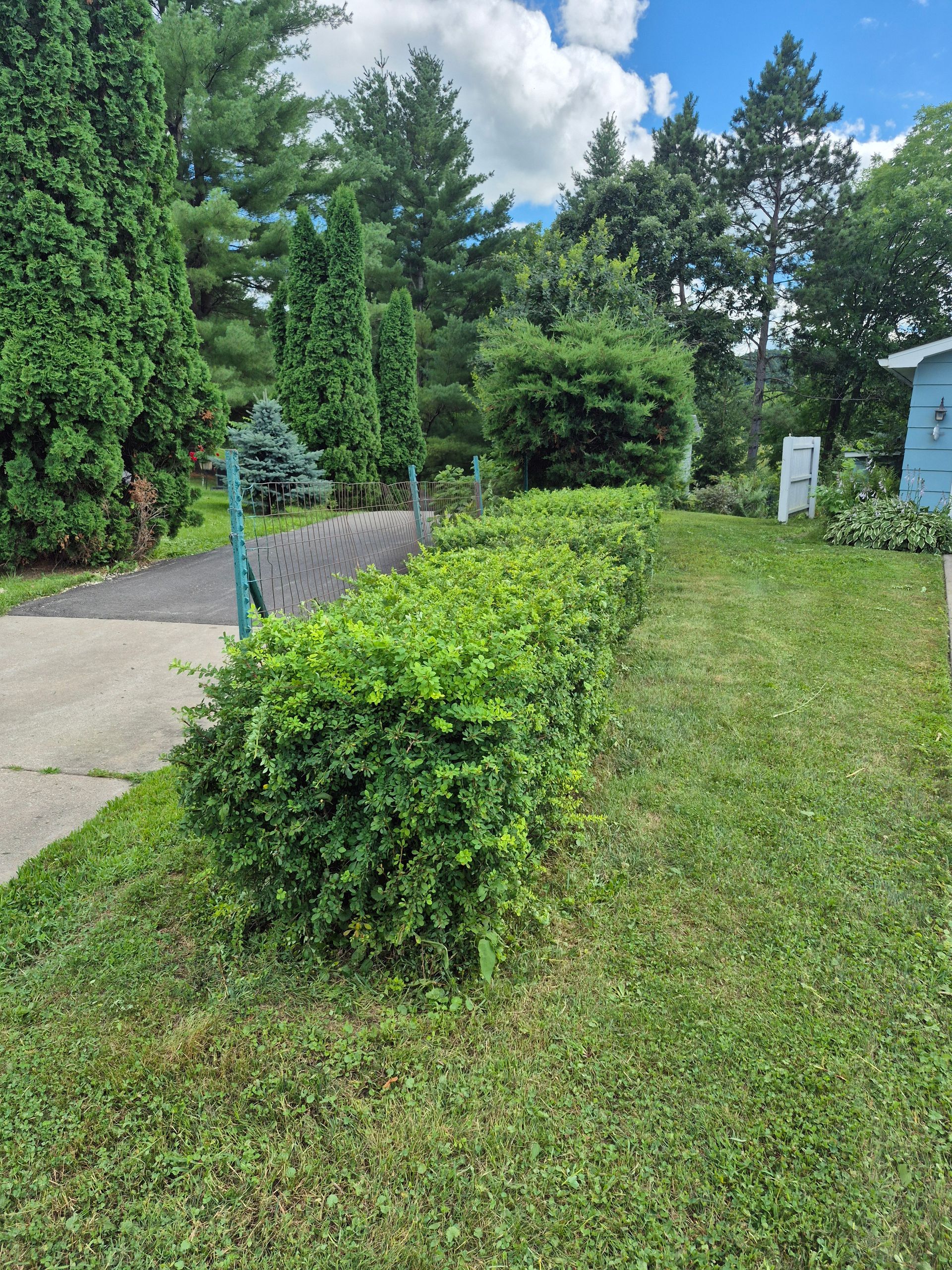 Drain pipe