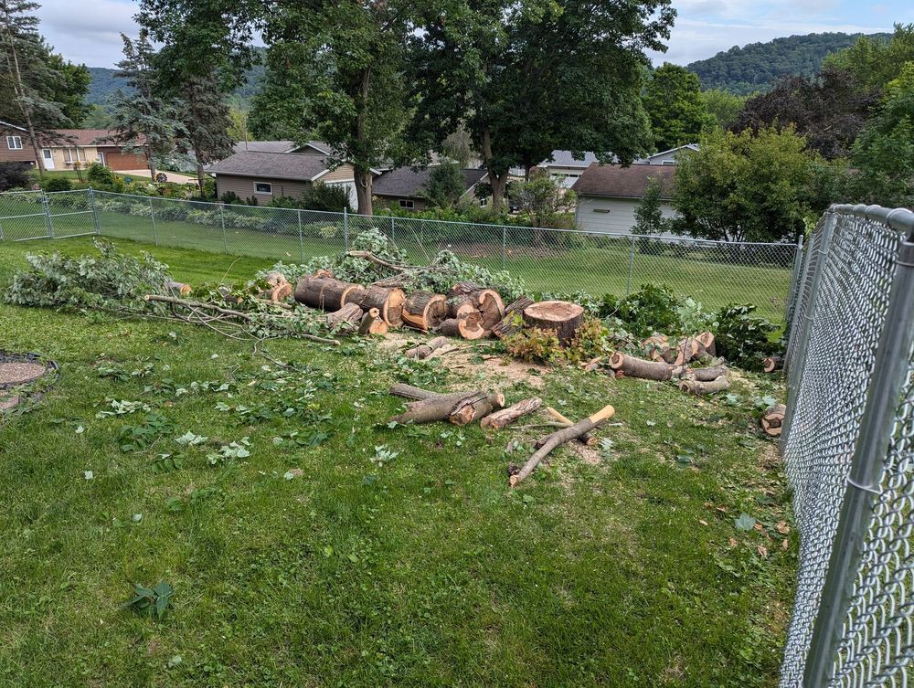 Removing tree