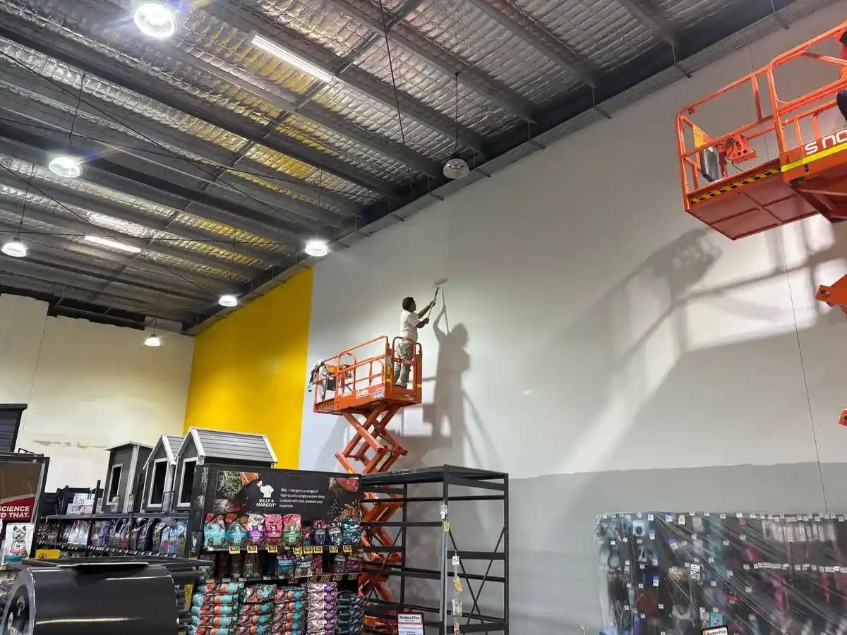 High-angle view of a retail pet store interior featuring shelves of pet supplies, a yellow accent wall, and a