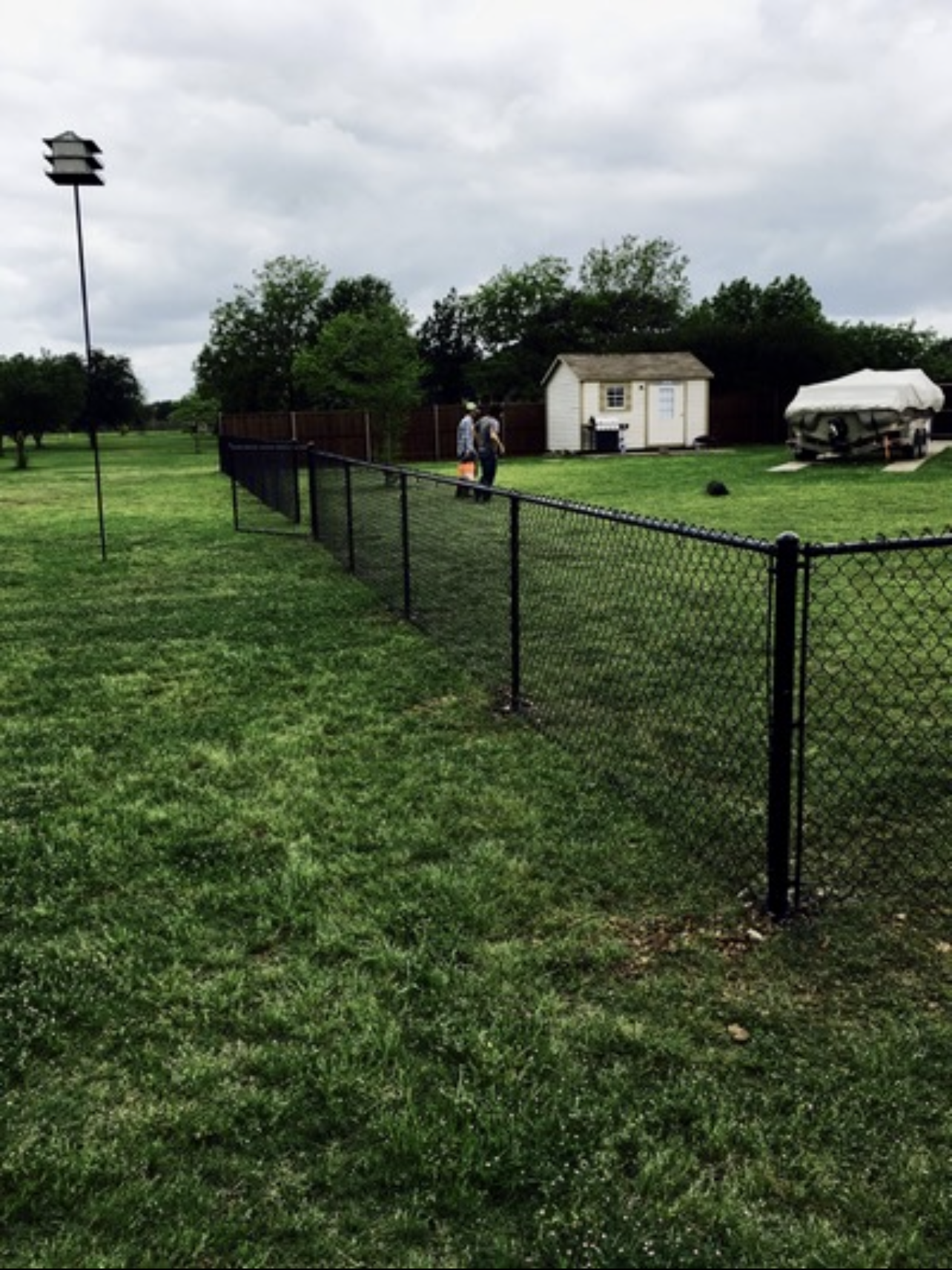A black chain link fence surrounds a lush green field